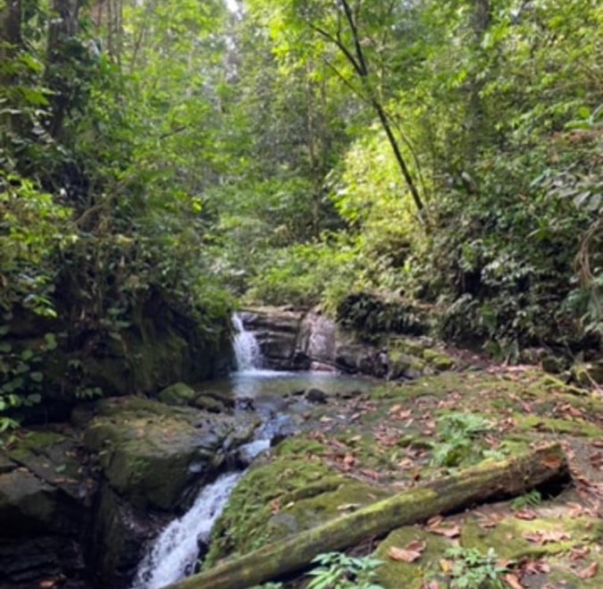 Waterfall and swimming hole