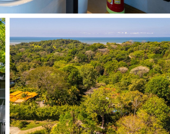 The Container Apartment interior and deck