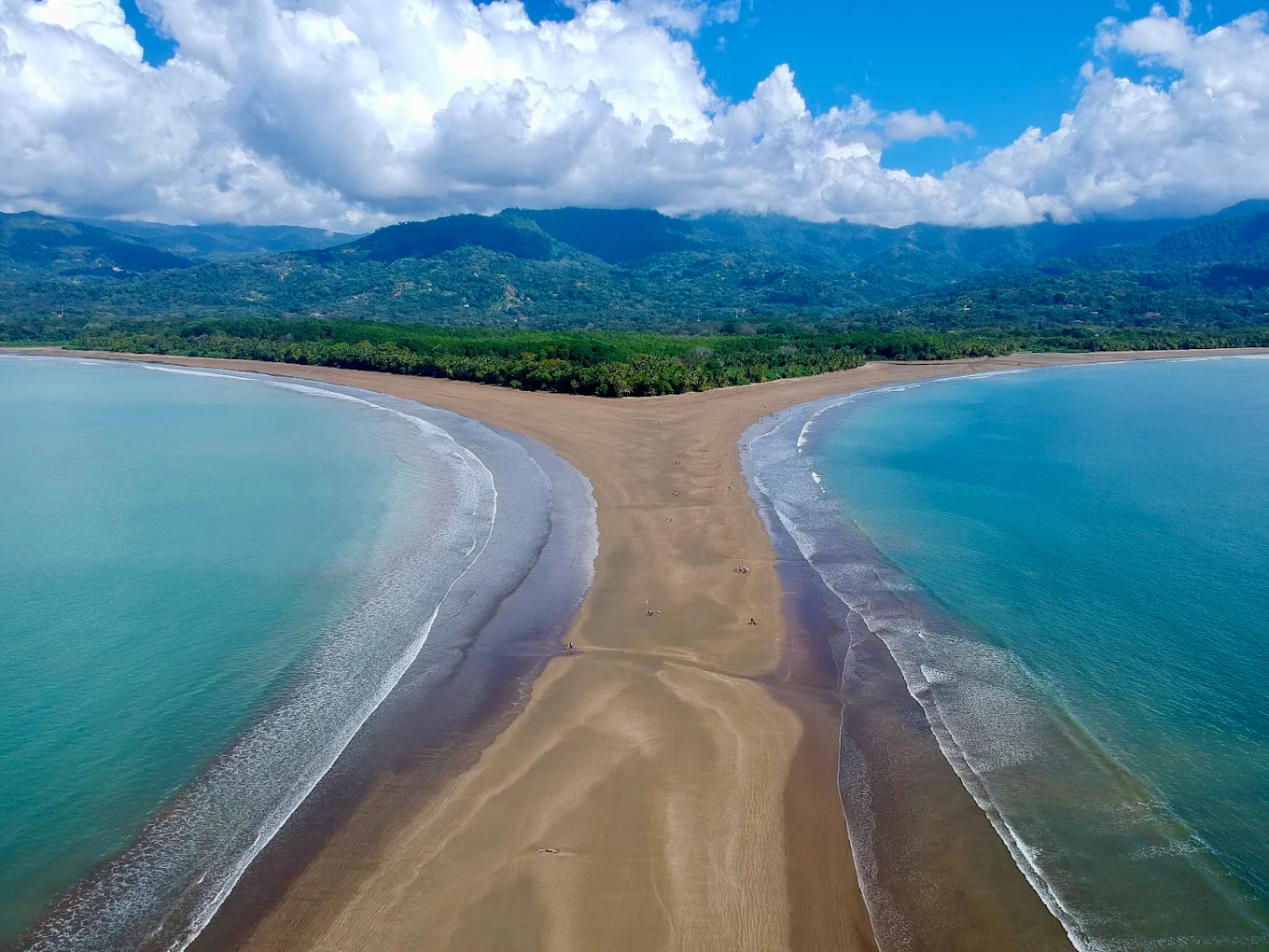Whale & Dolphin Watching — Marino Ballena National Park