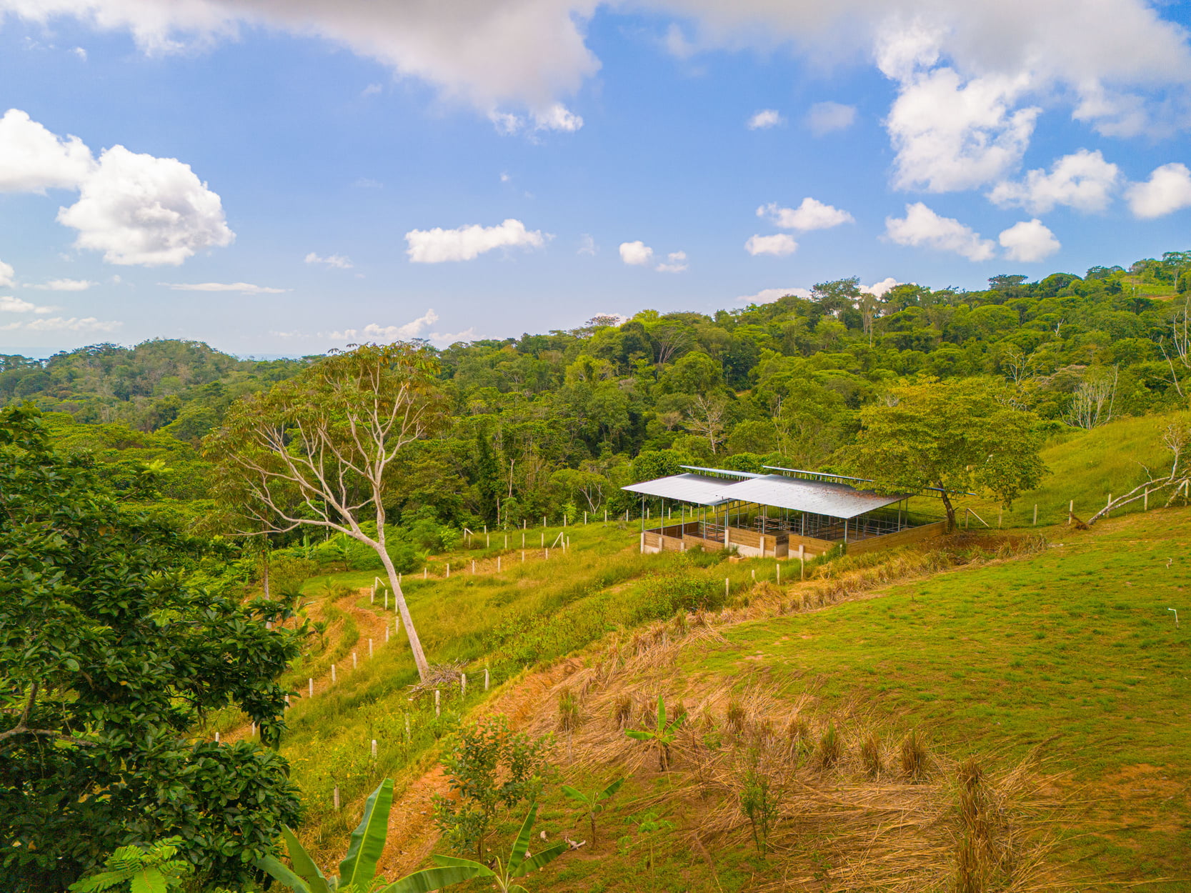 Oceanview Homestead property view