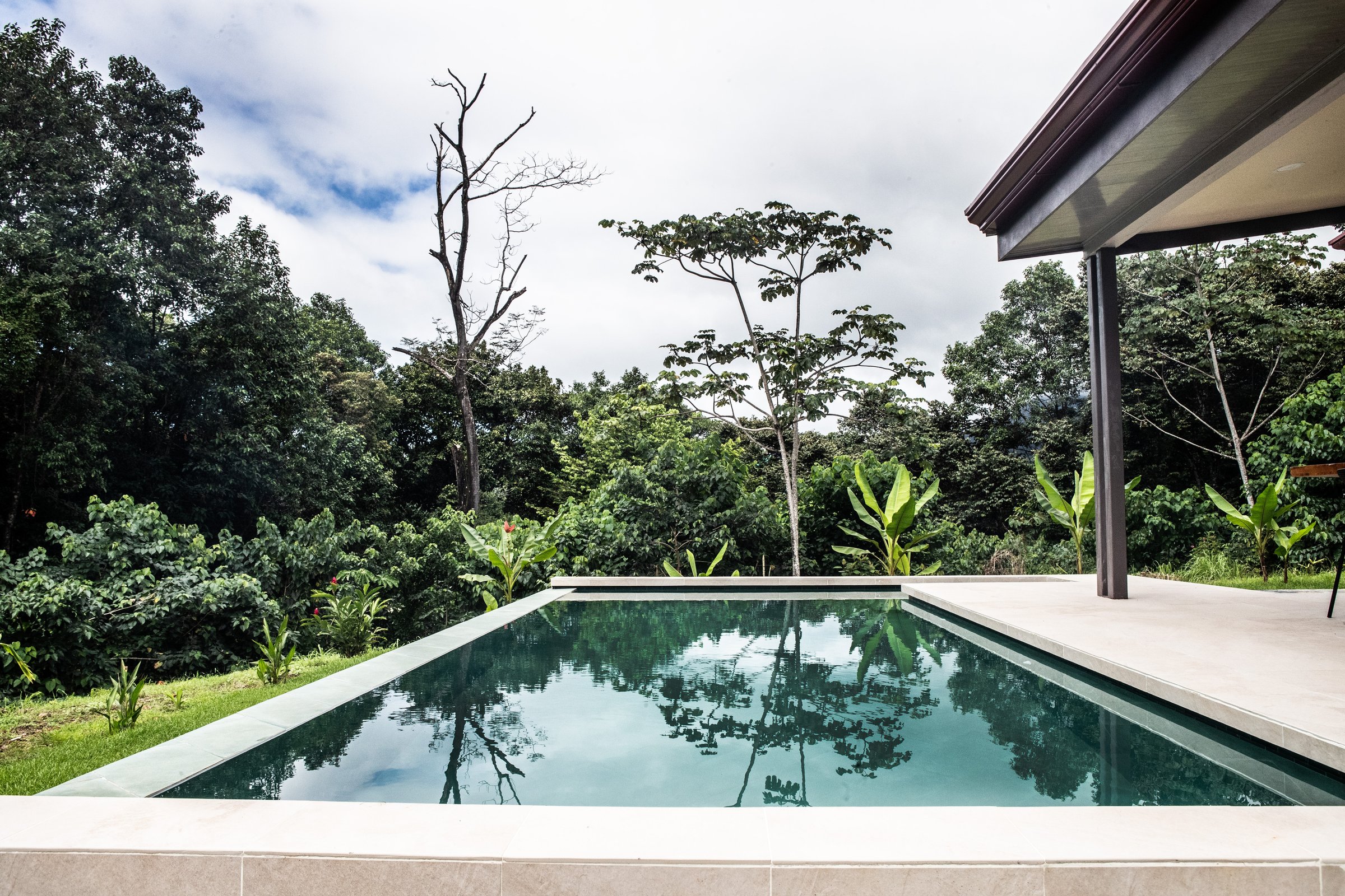Tropical home surrounded by palm trees in Costa Rica's Southern Zone