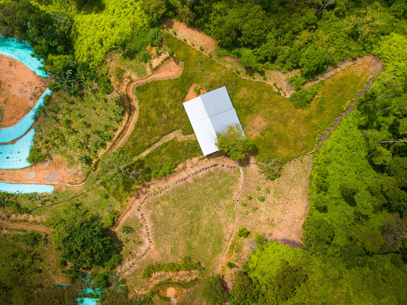 Oceanview Homestead property view