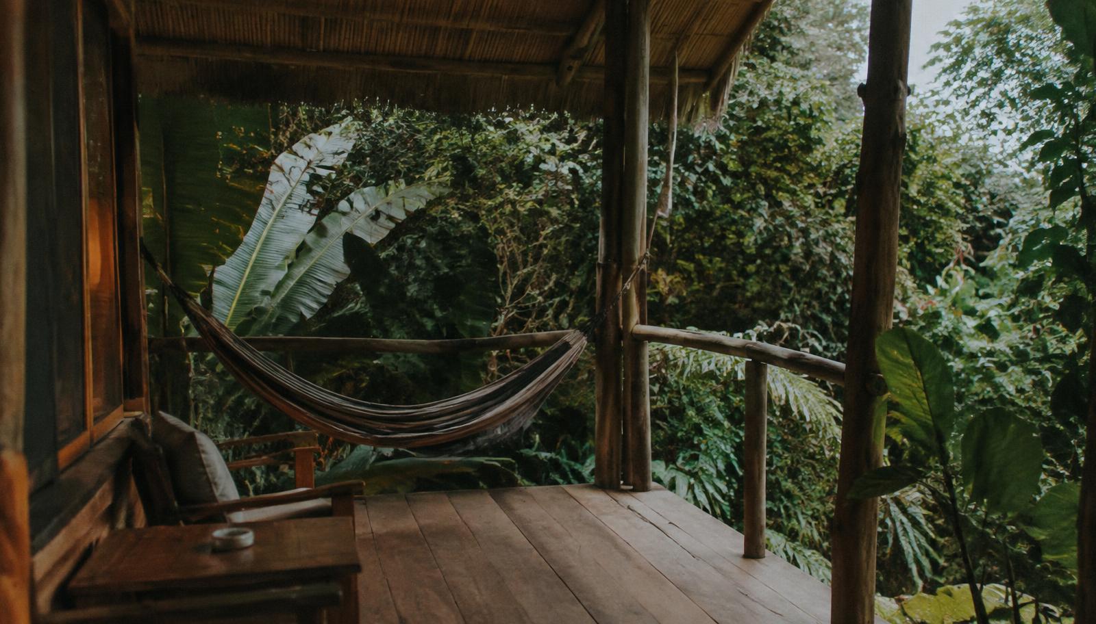 Covered wooden deck opening onto tropical greenery